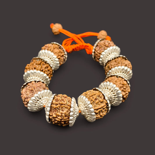 Premium Quality Nepali 5 Mukhi Rudraksha Bracelet With Pure Silver Capping