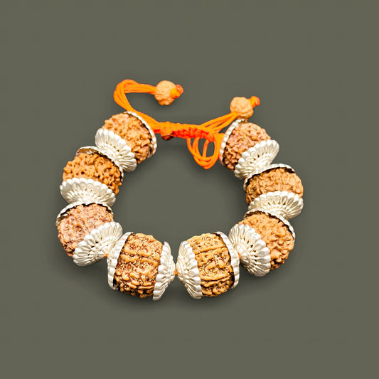 Nepali 6 Mukhi Rudraksha Bracelet With Pure Silver Capping