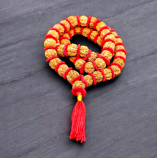 Premium Quality Nepali 7 Mukhi Rudraksha kantha with Red Velvet