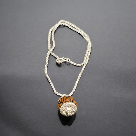 Nepali 7 Mukhi Rudraksha With Pure Silver Capping And Chain