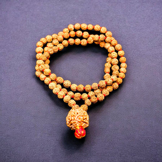 Nepali 7 Mukhi Rudraksha with 5 Mukhi Rudraksha Mala