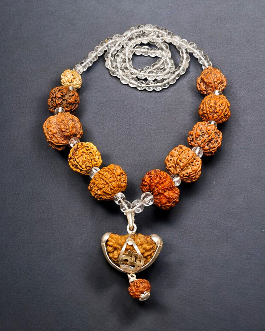 1 - 11 Mukhi Rudraksha Combination Arranged in Sphatik Mala