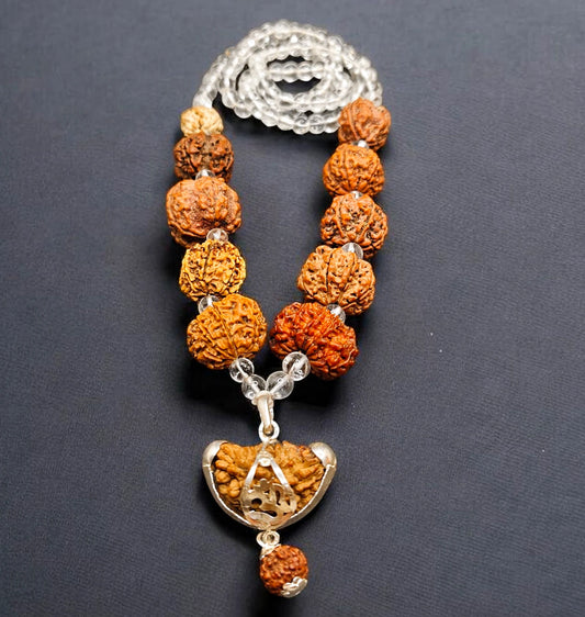 1 - 11 Mukhi Rudraksha Combination Arranged in Sphatik Mala