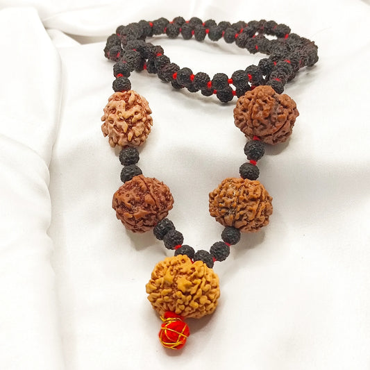 2 4 5 6 7 Mukhi Rudraksha String With Black punchmukhi Rudraksha Mala