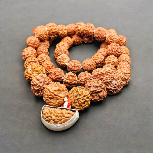 1 3 4 5 6 Mukhi Rudraksha Combination Mala