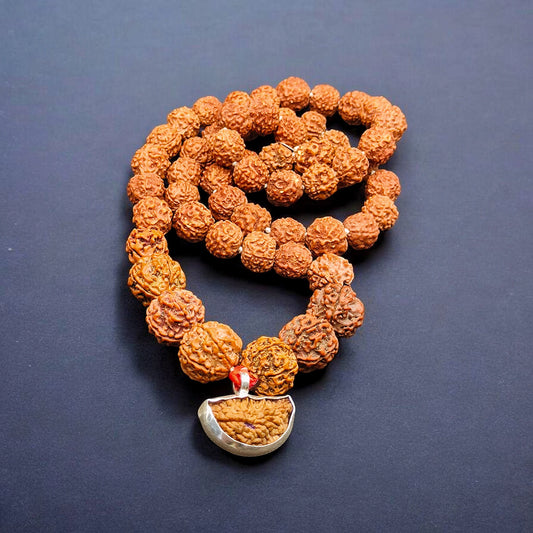 1 3 4 5 6 Mukhi Rudraksha Combination Mala