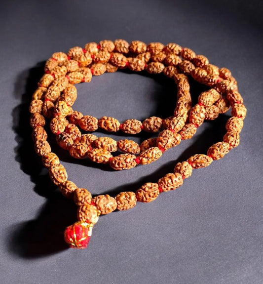 Java 2 Mukhi Rudraksha Mala Lab Certified