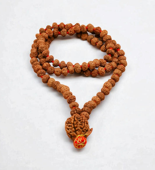 Nepali Ganesh Rudraksha String with Java 7 Mukhi Rudraksha Mala