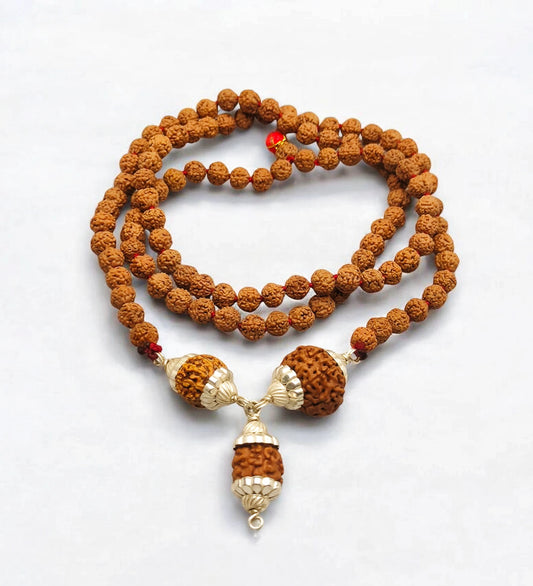 2 7 8 Mukhi Rudraksha String With Punchmukhi Rudraksha Mala