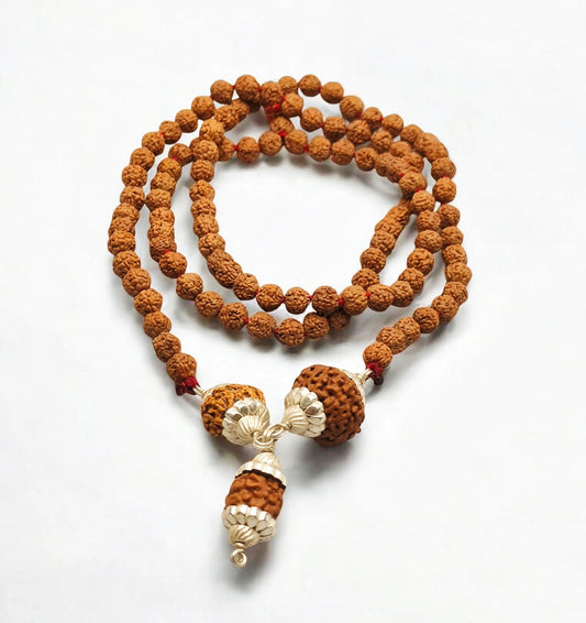 2 7 8 Mukhi Rudraksha String With Punchmukhi Rudraksha Mala