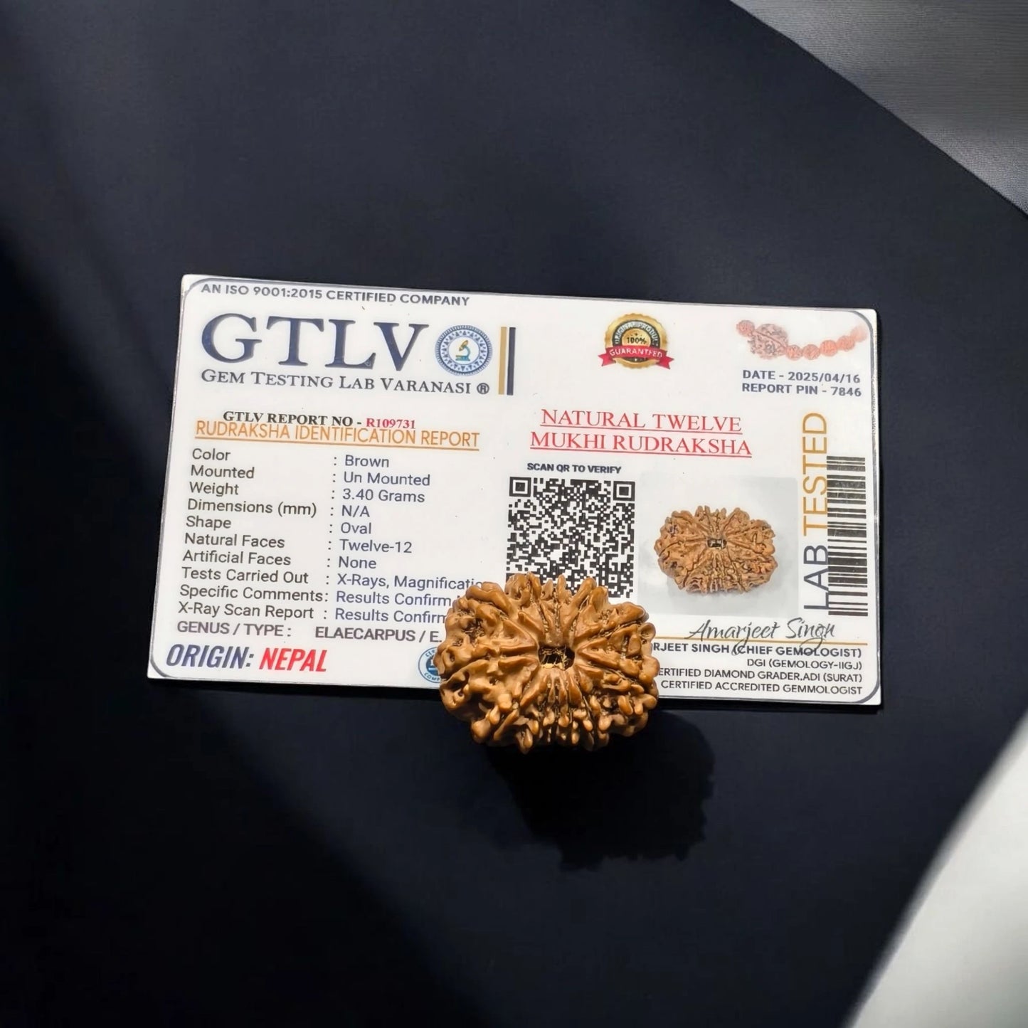 Nepali 12 Mukhi Rudraksha With Lab Certificate