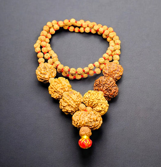 5 7 8 9 10 11 And 12 Mukhi Customized Rudraksha Mala