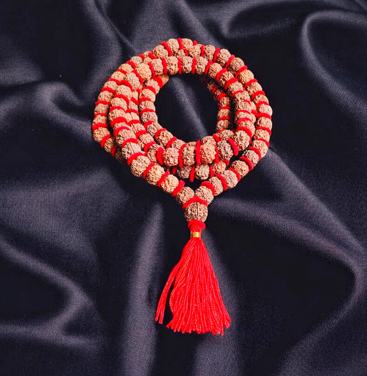 Premium Quality Nepali 5 Mukhi Rudraksha kantha With Lab Certificate