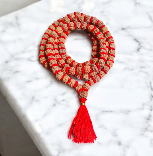 Premium Quality Nepali 5 Mukhi Rudraksha kantha With Lab Certificate