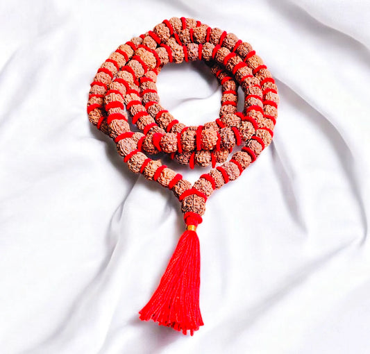 Nepali 4 Mukhi Rudraksha kantha With Red Velvet
