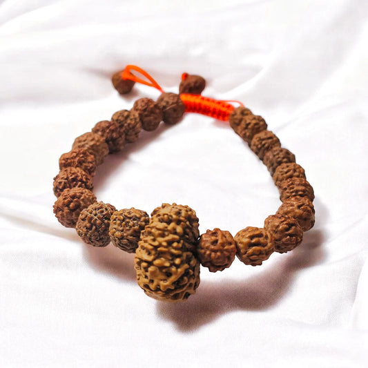 5 7 12 Mukhi Rudraksha Combination Bracelet