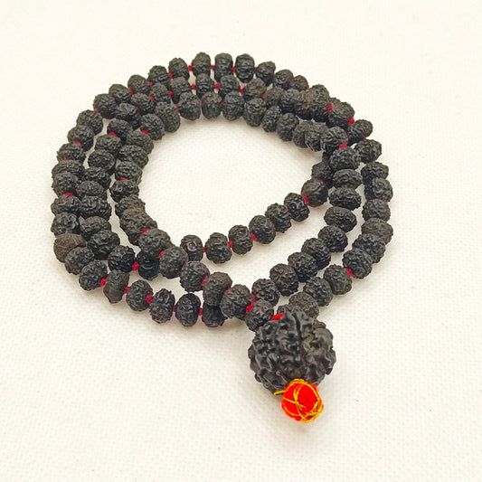 Nepali Black 5 Mukhi Rudraksha With Punchmukhi Rudraksha Mala