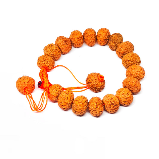 Java 10 Mukhi Rudraksha Bracelet With Lab Certificate