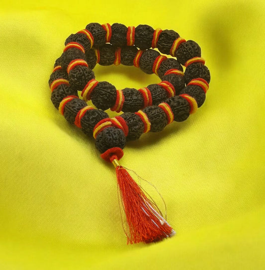 Premium Quality Nepali Black 5 Mukhi Rudraksha kantha With Red And Yellow Velvet (33Beads)