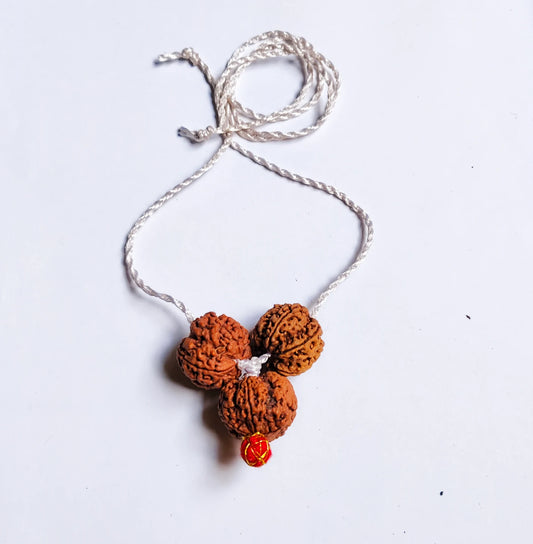 Premium Quality Nepali 4 5 6 Mukhi Rudraksha Combination Kavach Made in white Thread