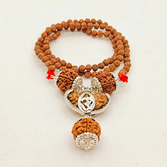 1 5 6 7 Mukhi Rudraksha Combination for Politicians, Decision Making and Wealth
