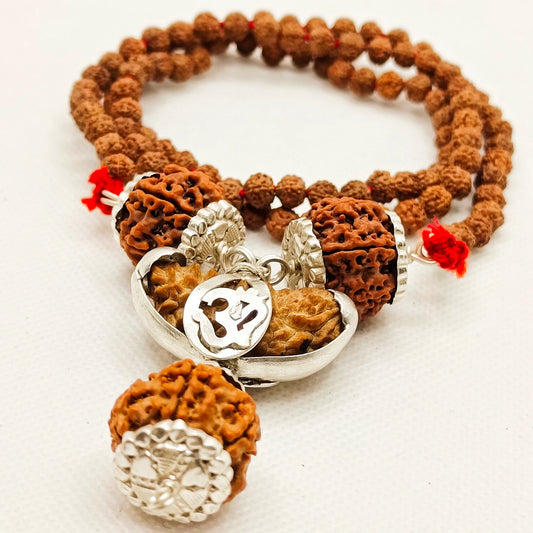 1 5 6 7 Mukhi Rudraksha Combination for Politicians, Decision Making and Wealth