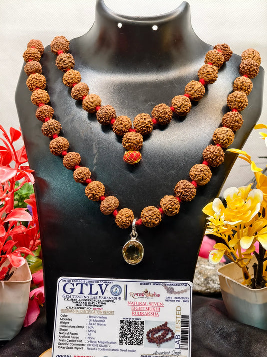 Dhan Vridhi Kavach for Health and Wealth