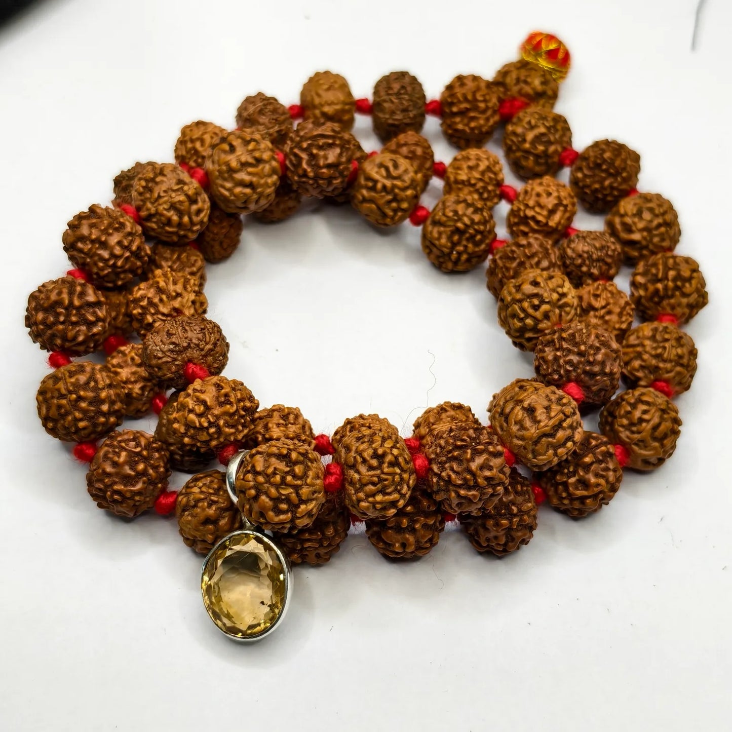 Dhan Vridhi Kavach for Health and Wealth