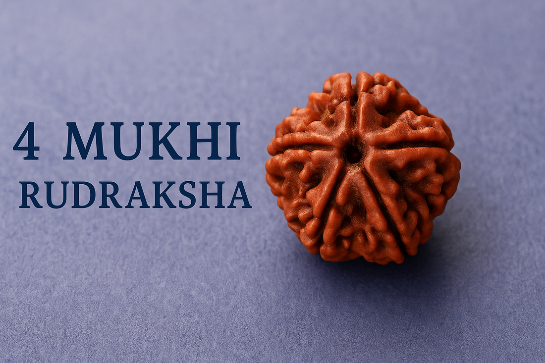 4 Mukhi Rudraksha — Meaning, Benefits & Wearing Guide