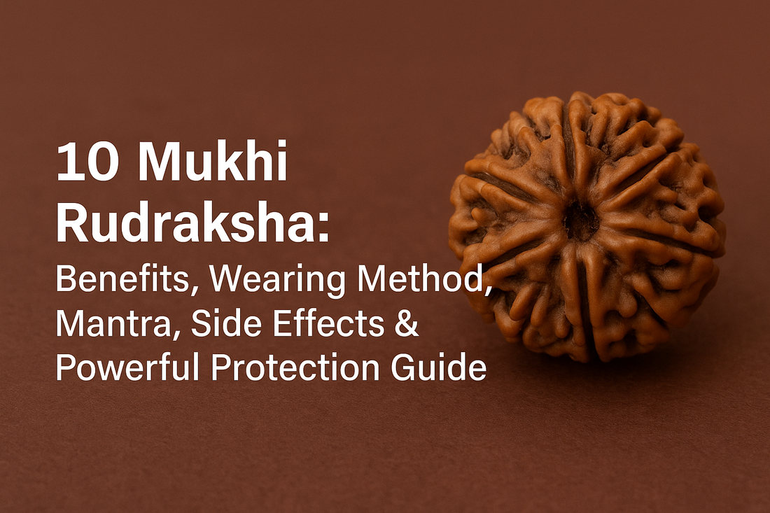 Das Mukhi Rudraksha: Powerful Shield Against Negativity, Evil Eye, and Planetary Dosha