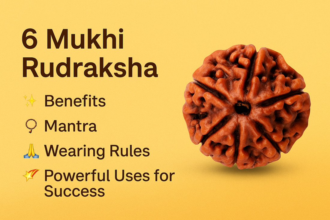 6 Mukhi Rudraksha: Benefits, Mantra, Wearing Rules &amp; Powerful Uses