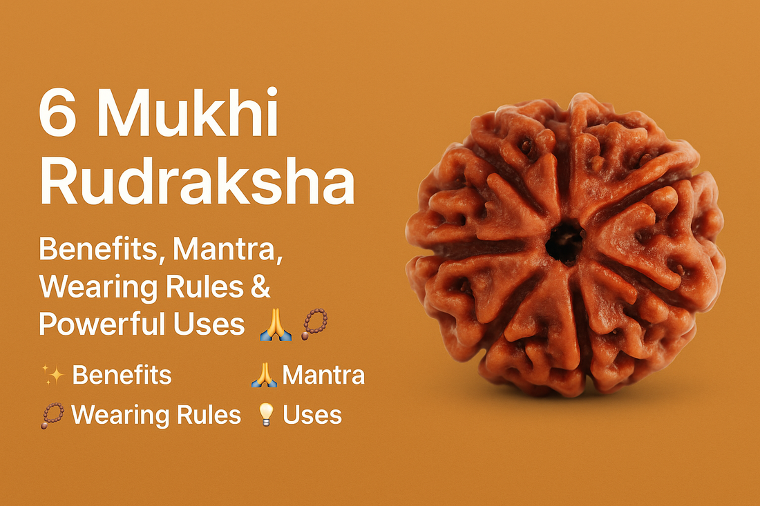 6 Mukhi Rudraksha: Powerful Benefits, Mantra, Wearing Method & Complete Guide