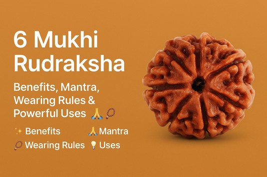 6 Mukhi Rudraksha: Powerful Benefits, Mantra, Wearing Method & Complete Guide