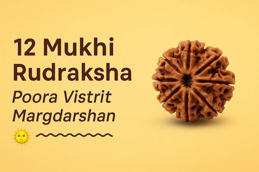12 Mukhi Rudraksha – Poora Vistrit Margdarshan