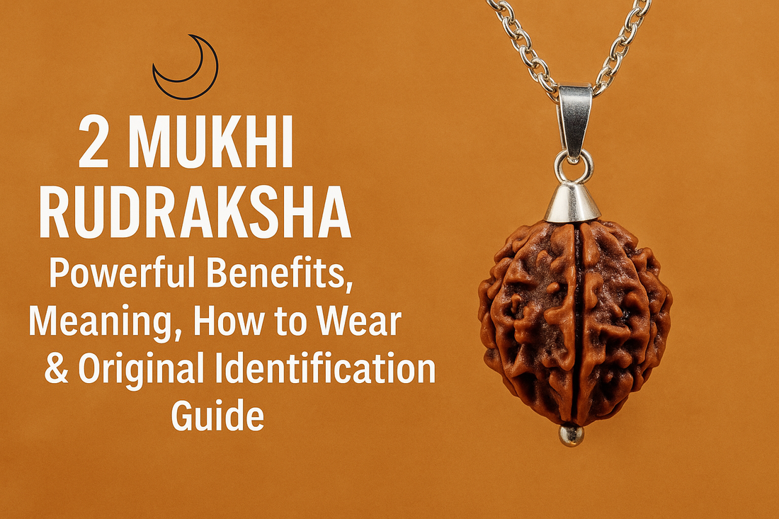2 Mukhi Rudraksha – Complete Guide to Love, Harmony &amp; Emotional Balance