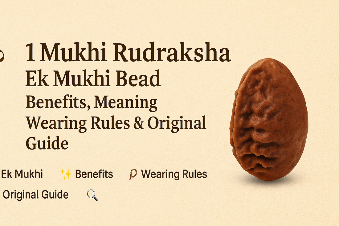 1 Mukhi Rudraksha – Ek Mukhi Bead Benefits, Meaning, Wearing Rules & Original Guide