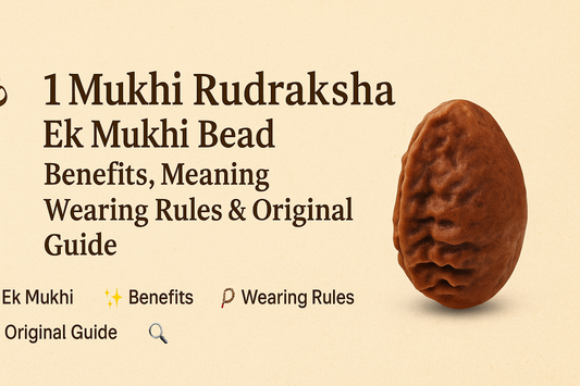 1 Mukhi Rudraksha – Ek Mukhi Bead Benefits, Meaning, Wearing Rules & Original Guide