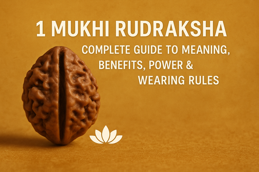 1 Mukhi Rudraksha – Complete Guide to Meaning, Benefits, Power &amp; Wearing Rules