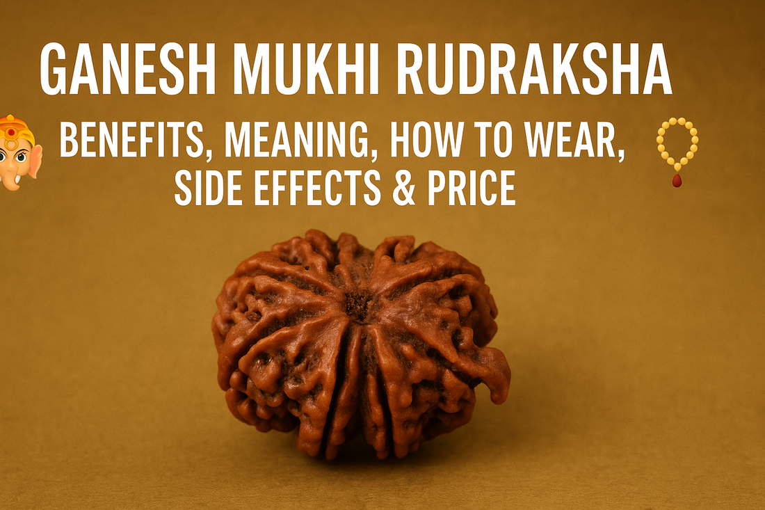 Ganesh Mukhi Rudraksha – Complete Guide to Obstacle Removal, Success & Divine Wisdom
