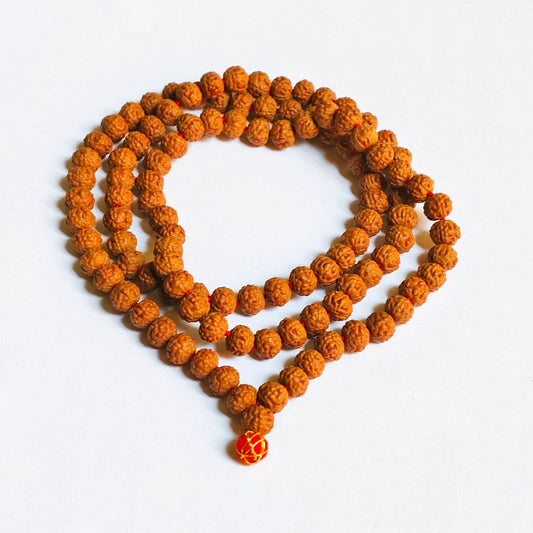 Indonesian 11 Mukhi Rudraksha Mala