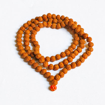 Indonesian 11 Mukhi Rudraksha Mala
