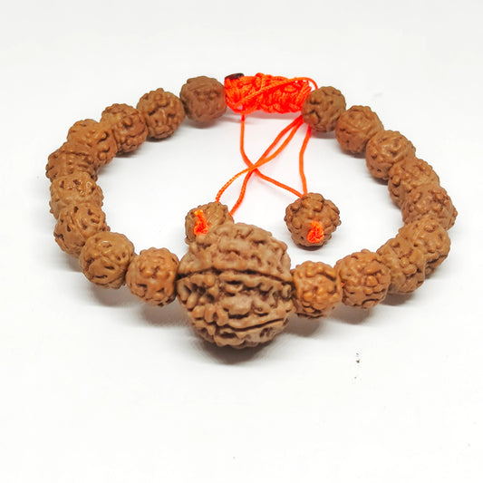 Lab Certified Nepali 6 Mukhi Rudraksha Bracelet