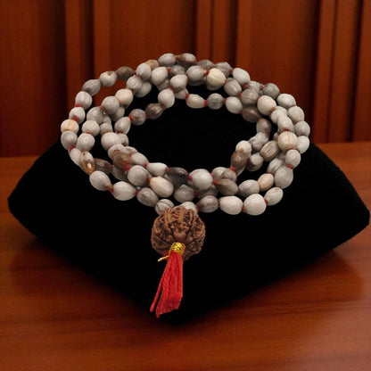 Nepali 7 Mukhi Rudraksha String With Vaijayanti Mala
