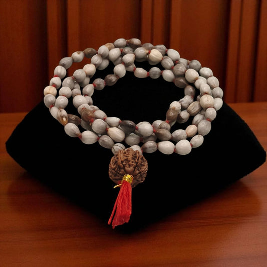 Nepali 7 Mukhi Rudraksha String With Vaijayanti Mala