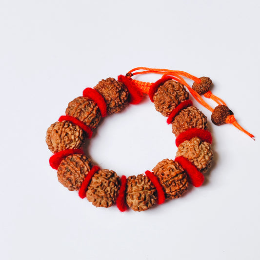 Premium Quality Nepali 7 Mukhi Rudraksha Bracelet with Red Velvet