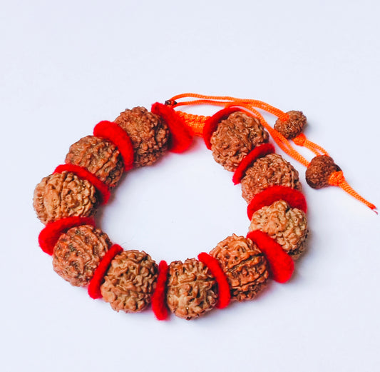 Premium Quality Nepali 7 Mukhi Rudraksha Bracelet with Red Velvet