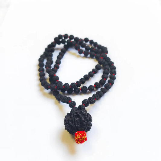 Nepali Black 7 Mukhi Rudraksha arranged in Black 5 Mukhi Rudraksha Mala