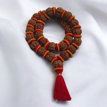 Premium Quality Nepali 5 Mukhi Rudraksha Kantha with Red and yellow Velvet