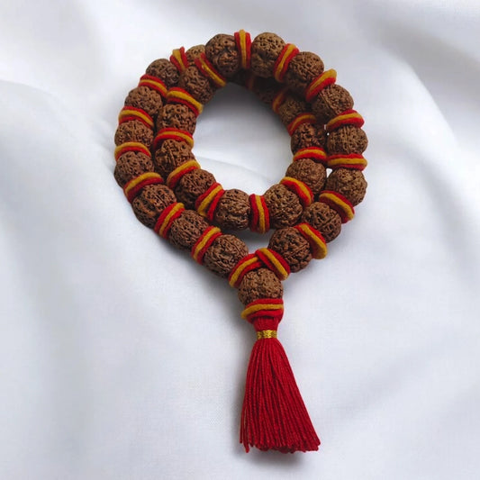 Premium Quality Nepali 5 Mukhi Rudraksha Kantha with Red and yellow Velvet