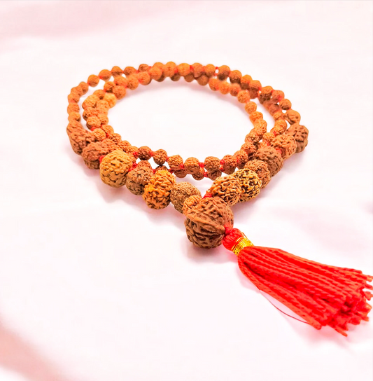 Premium Quality Small Size Indonesian Siddh Mala (1-14) Ganesh And Gaurishankar Rudraksha